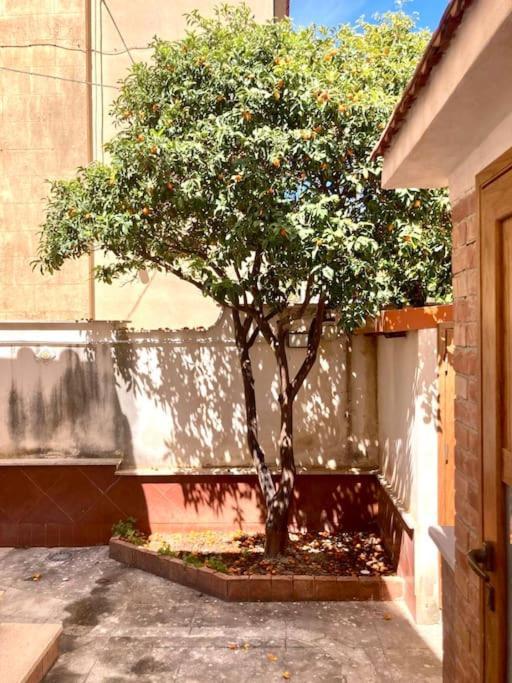 Villa Orlando Mondello Palermo Dış mekan fotoğraf